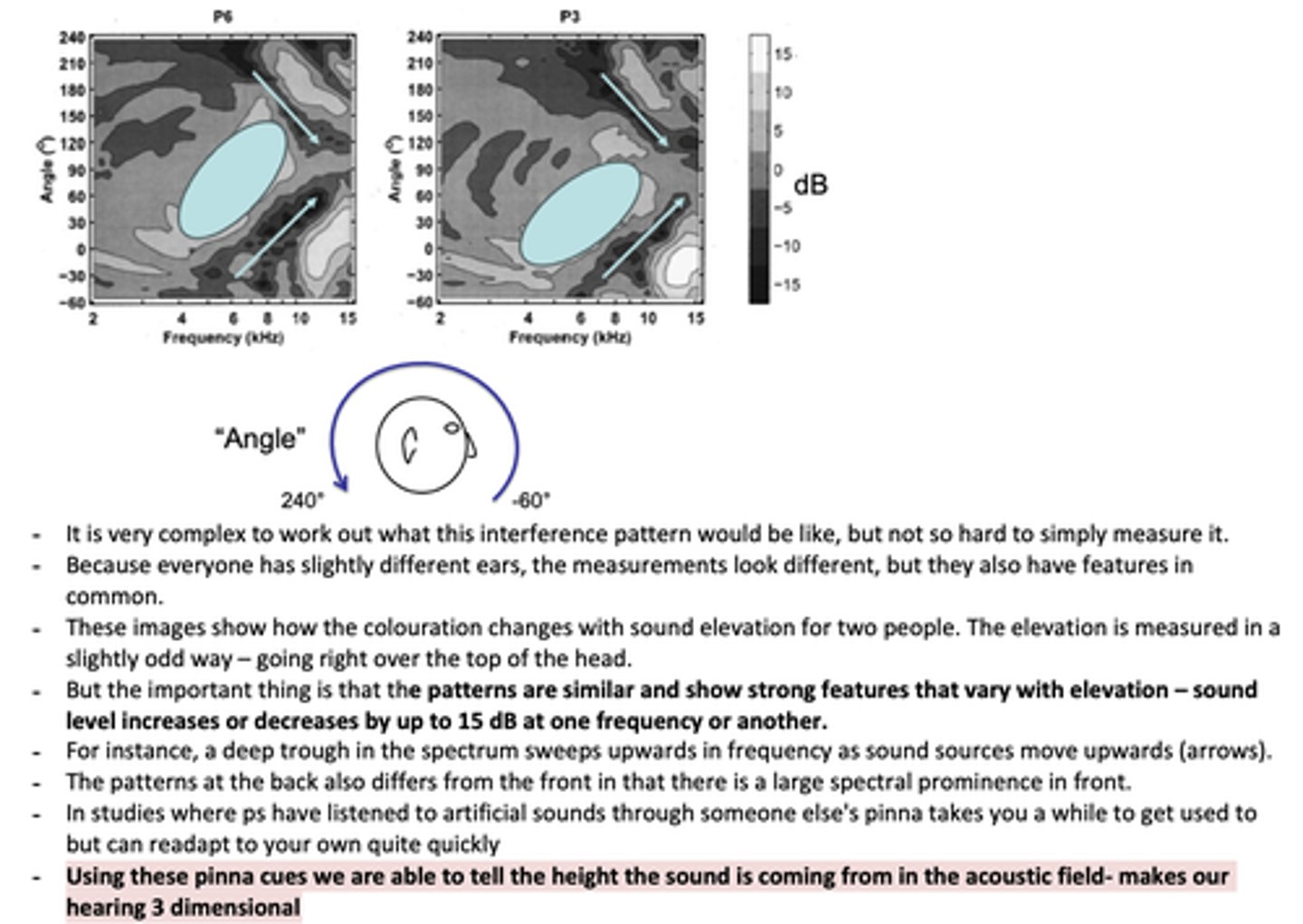 <p>Frequency response of the human pinna (two different individuals) as a function of sound elevation</p><p>-similarities ad differences between individuals</p>