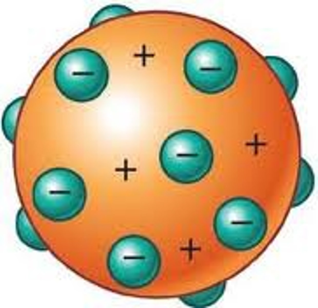 <p>States that atoms are negatively-charged particles are imbedded in positively-charged sphere, like chocolate chips in a cookie.</p>