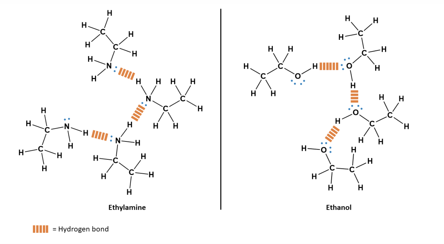 <p>A type of chemical bond that occurs when a hydrogen atom, which is covalently bonded to an electronegative atom (like oxygen, nitrogen, or fluorine), is attracted to another nearby electronegative atom. An extreme form of dipole-dipole interaction.</p><p class="p1">&nbsp;</p><p></p>