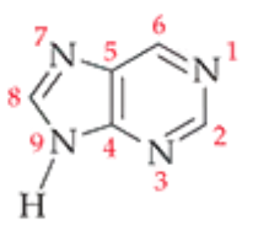 <p>Name this base?</p>