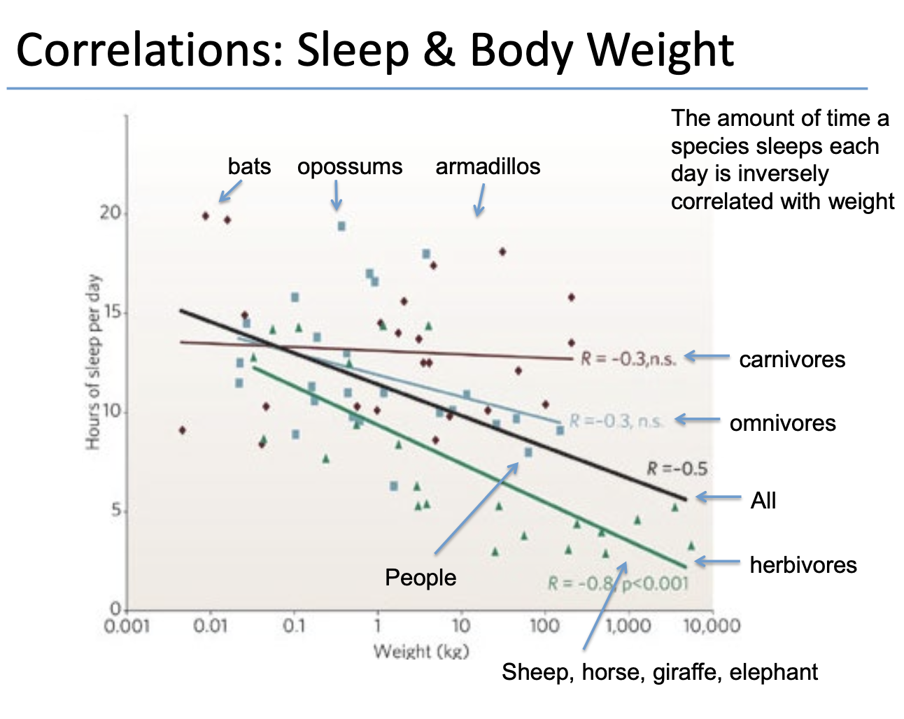 <p>→ varies from humans, but seemingly a universal process (i.e., all animals may sleep)</p><p><u>Variations</u>:</p><ul><li><p>Duration (amount of sleep)</p><ul><li><p>Length of sleep cycles</p></li></ul></li><li><p>Ratio of REM:NREM</p></li><li><p>Status of predation</p><ul><li><p>Predators → indulge in longer, uninterrupted sleep</p></li><li><p>Prey → sleep more often, but for shorter</p></li></ul></li><li><p>Body weight requirements</p></li></ul><p><u>Notable variation examples</u>:</p><ul><li><p>Humans</p><ul><li><p>Adults → ~7-hour periods (25% REM, 75% NREM)</p></li><li><p>Newborns → ~16-hour periods (50% REM, 50% NREM)</p></li></ul></li></ul><ul><li><p>Dolphins → “sleep” between 2 cerebral hemispheres (i.e., one can be awake while the other rests)</p></li></ul><p></p>