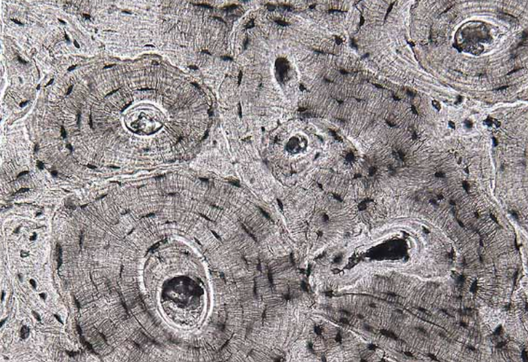 <p>Name this Structure?</p>