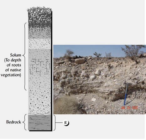 <p>describe the <strong>R horizon.</strong></p>
