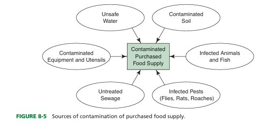 <p><span><u>contaminated equipment, infected pests and animals, untreated sewage, unsafe water, and soil</u></span></p>
