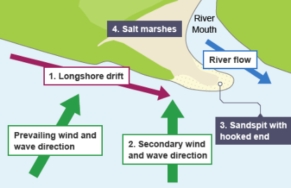 <p>1) sediment is carried by longshore drift</p><p>2) when the coastline changes shape —&gt; deposition occurs —&gt; a long thin ridge of material is deposited —&gt; this is the split</p><p>3) a hooked end can form if there is a change in wind direction</p><p>4) waves cannot get past a spit —&gt; therefore, the water behind a spit is very sheltered and so silts are deposited here to form salt marshes or mud flats</p>