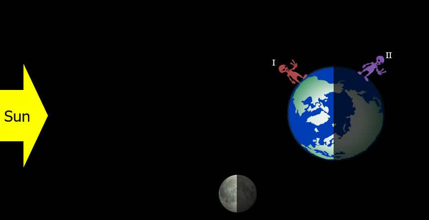 <p><span style="background-color: transparent;"><span>What is the phase of the Moon and the tide for the purple alien? (II)</span></span></p>