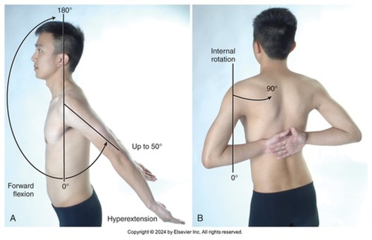 <p>-inspect front and back for symmetry, swelling, atrophy (occurs w disuse)</p><p>-shoulder pain that is local can be reproducible w palpation/motion</p><p>-forward flexion, hyperextension, internal/external rotation, abduction/adduction</p><p>-shoulder shrug-> cranial nerve XI</p><p>-shrug the shoulders, flex forward and up, and abduct against your resistance</p>