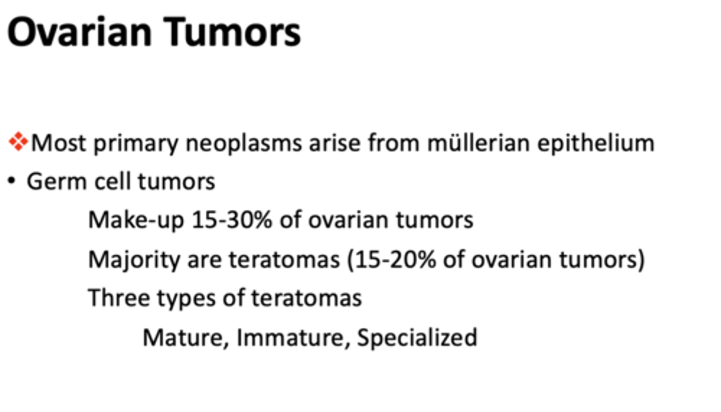 <p>Germ cell tumors</p>