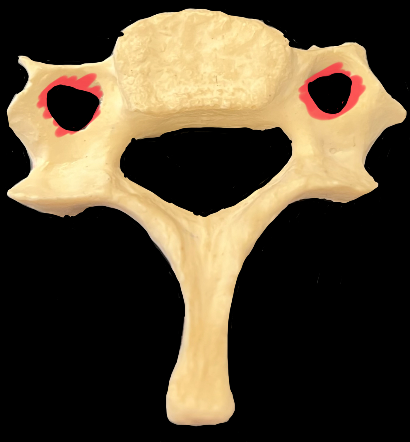 What is highlighted in red?