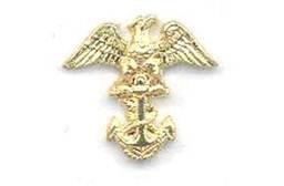 <p>Eagle perched on a fouled anchor</p>