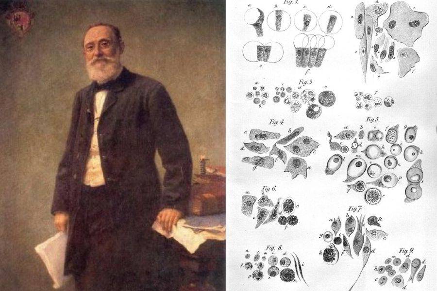 <p>Rudolf Virchow (1855) ¿Qué hizo?</p>