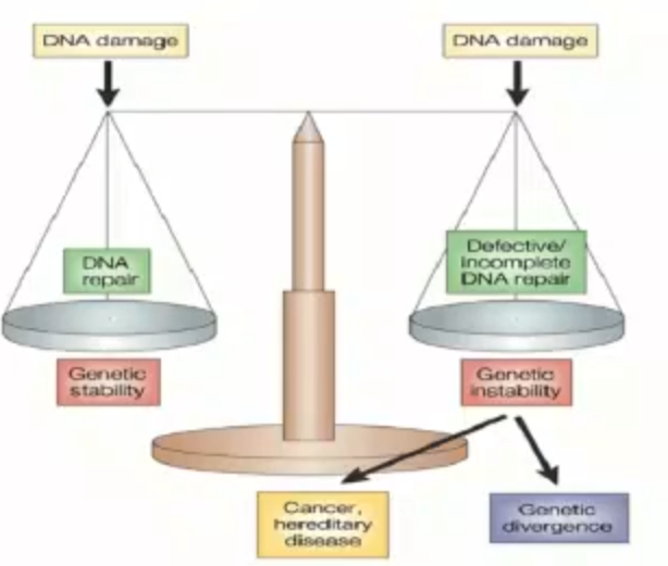 <p>what does this diagram represent?</p>