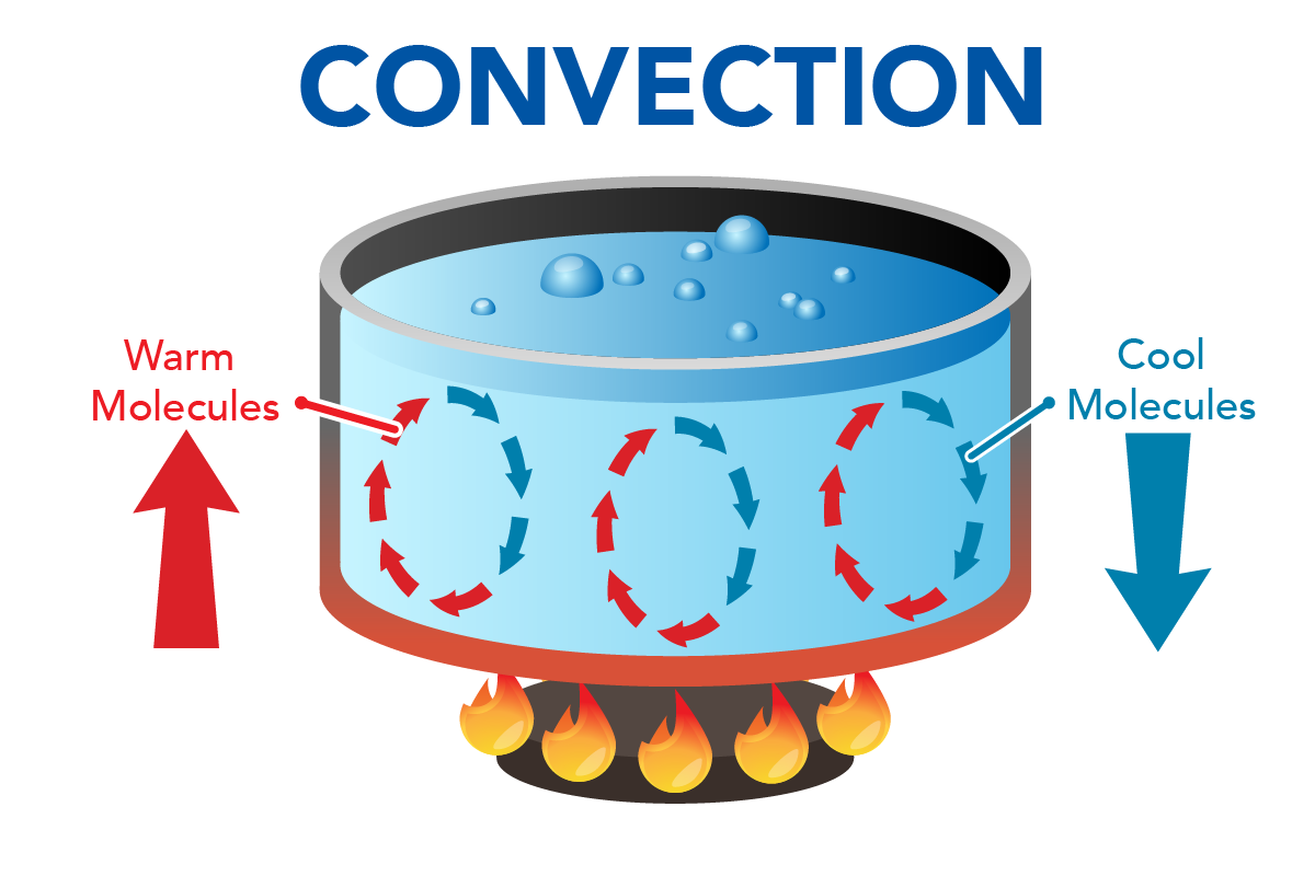 <p><span>the transfer of heat by the movement of a gas or liquid</span></p>