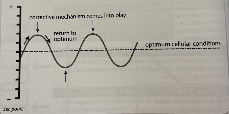 <p>homeostasis is the maintenance of the internal environment within tolerable limits. to accomplish this, the body uses negative feedback, whereby the body responds in such a way as to reverse the direction of change. this tends to keep physical parameters constant e.g. temperature at 37 degrees, and glucose at 90mg per 100cm³ blood. this involves:</p><ol><li><p>INPUT - a change away from the set point or norm e.g. rise in core body temp</p></li><li><p>RECEPTOR - a sensory that detects the change from the set point, e.g. temperature receptors </p></li><li><p>CONTROL CENTRE - or coordinator detects signals from receptors and coordinates a response via effectors e.g. hypothalamus in the brain</p></li><li><p>EFFECTOR - bring about changes which returns the body to set point e.g. glands in skin release sweat </p></li><li><p>OUTPUT - corrective procedure, e.g. evaporation of sweat cools skin</p></li></ol><p></p>