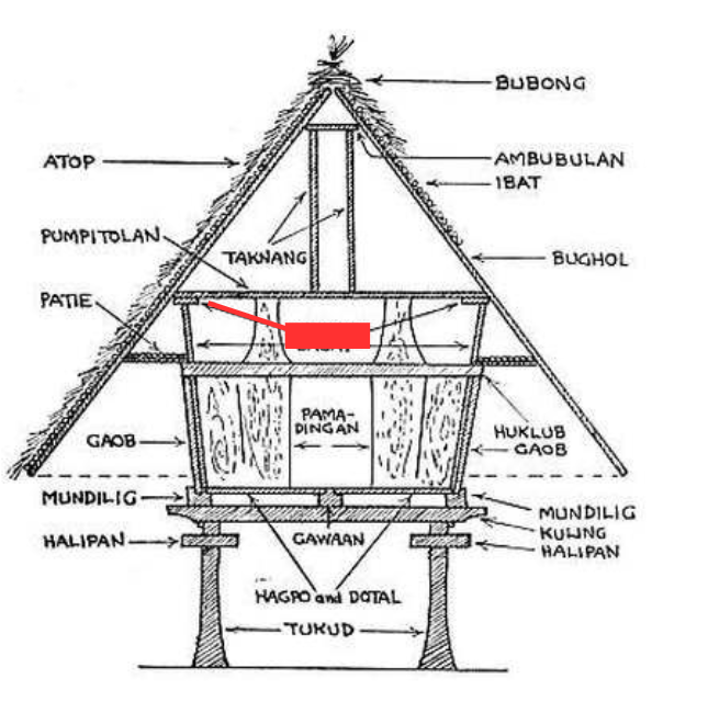 term image