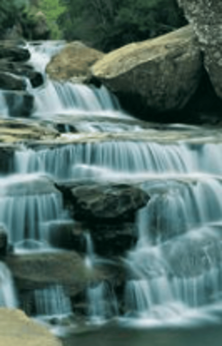 <p>______ is the smooth movement of something, usually a liquid</p>