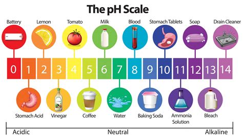 <p>The pH scale</p>