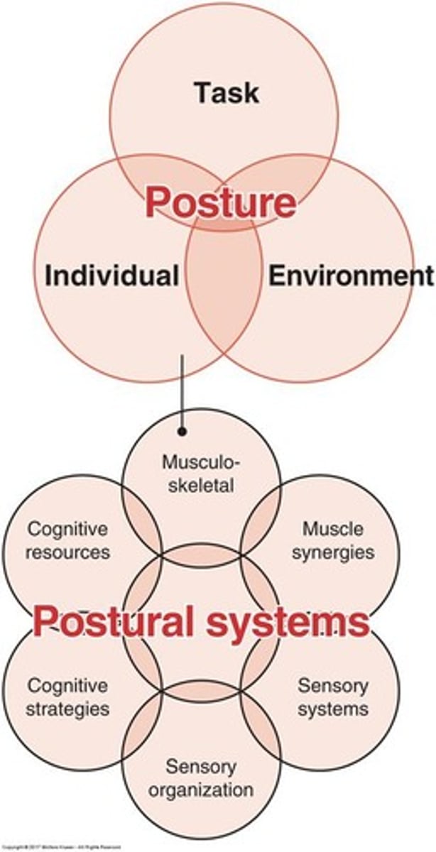<p>It encompasses the capacity of an individual, the demands of a task, and the strategies used to accomplish tasks in different environments.</p>