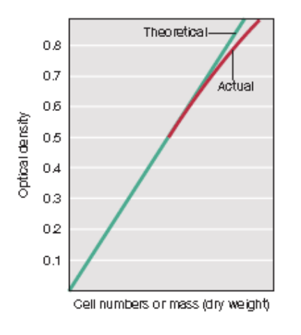 <p><strong>Standard curve</strong></p>