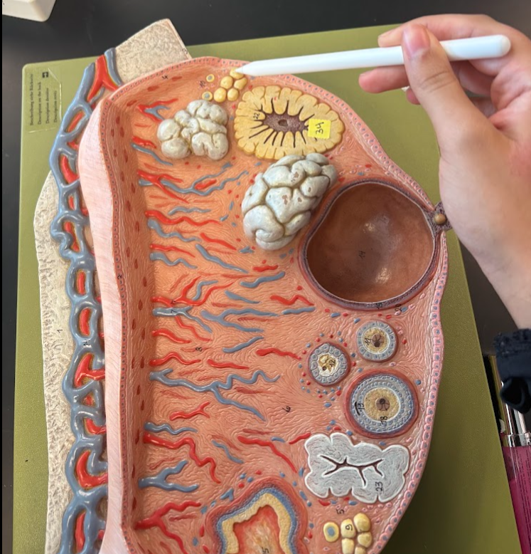 <p>What is this?</p>