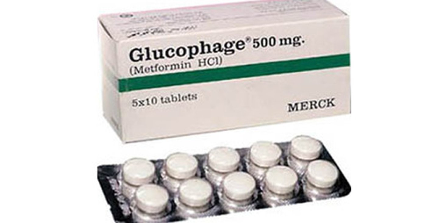 <p>Brand: Glucophage</p><p>Class: Biguanide</p><p>Indication: Diabetes medication</p><p>Schedule: NCLM</p>