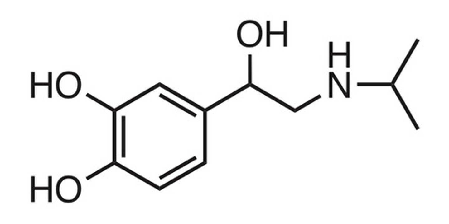<p>Isoproterenol</p>