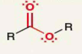 <p>What functional group is this</p>