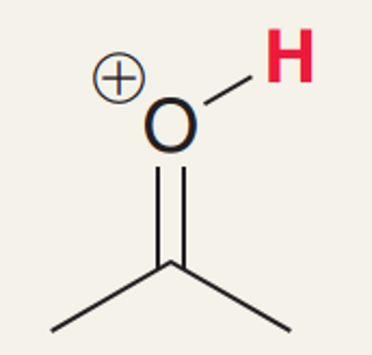 <p>protonated carbonyl</p>