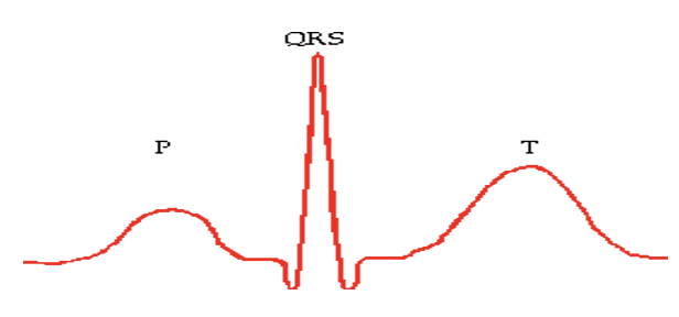 <p>The sum of all electrical potentials generated by the cells of the heart at any time, providing key information about heart rhythm.</p><p>normal electrical activity of the heart gives 3 distinct waves </p>