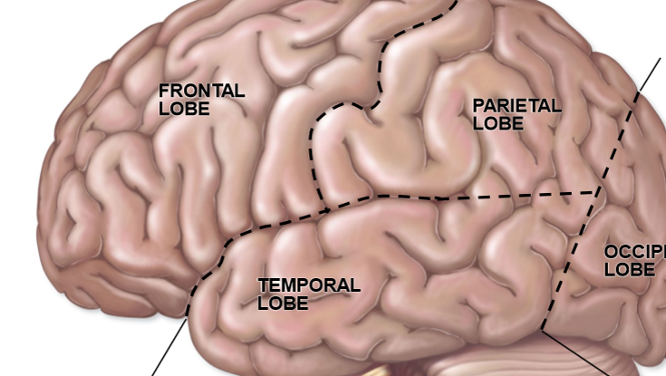 <p>Left to right</p>