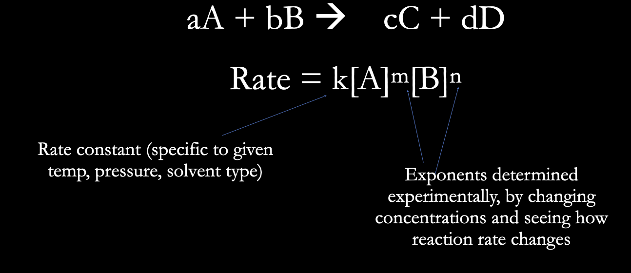 <p>Rate = k[A]^m [B]^n </p><ul><li><p><strong>describes how the speed of a chemical reaction depends on the concentration of its reactants</strong> </p></li><li><p>rate = speed of reaction (rate of substrate uptake or product formation)</p></li><li><p>k = rate constant, which is specific to temp and pH conditions (reflects the “efficiency” of a microbe’s enzymes</p></li><li><p>[A], [B] = molar concentrations of reactions (concentration of substrates like glucose, oxygen, nitrogen)</p></li><li><p>m, n = reaction orders which are determined experimentally (indicates sensitivity of microbe to changes in substrate availability)</p></li></ul><p></p>