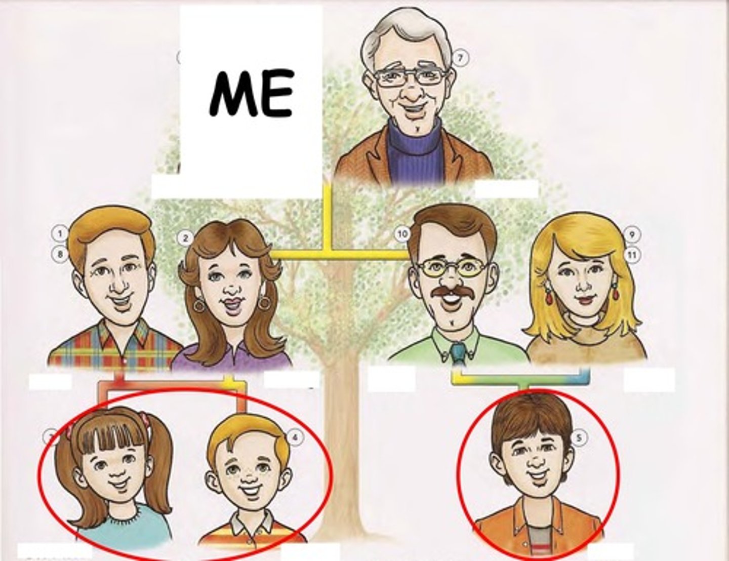 knowt flashcard image