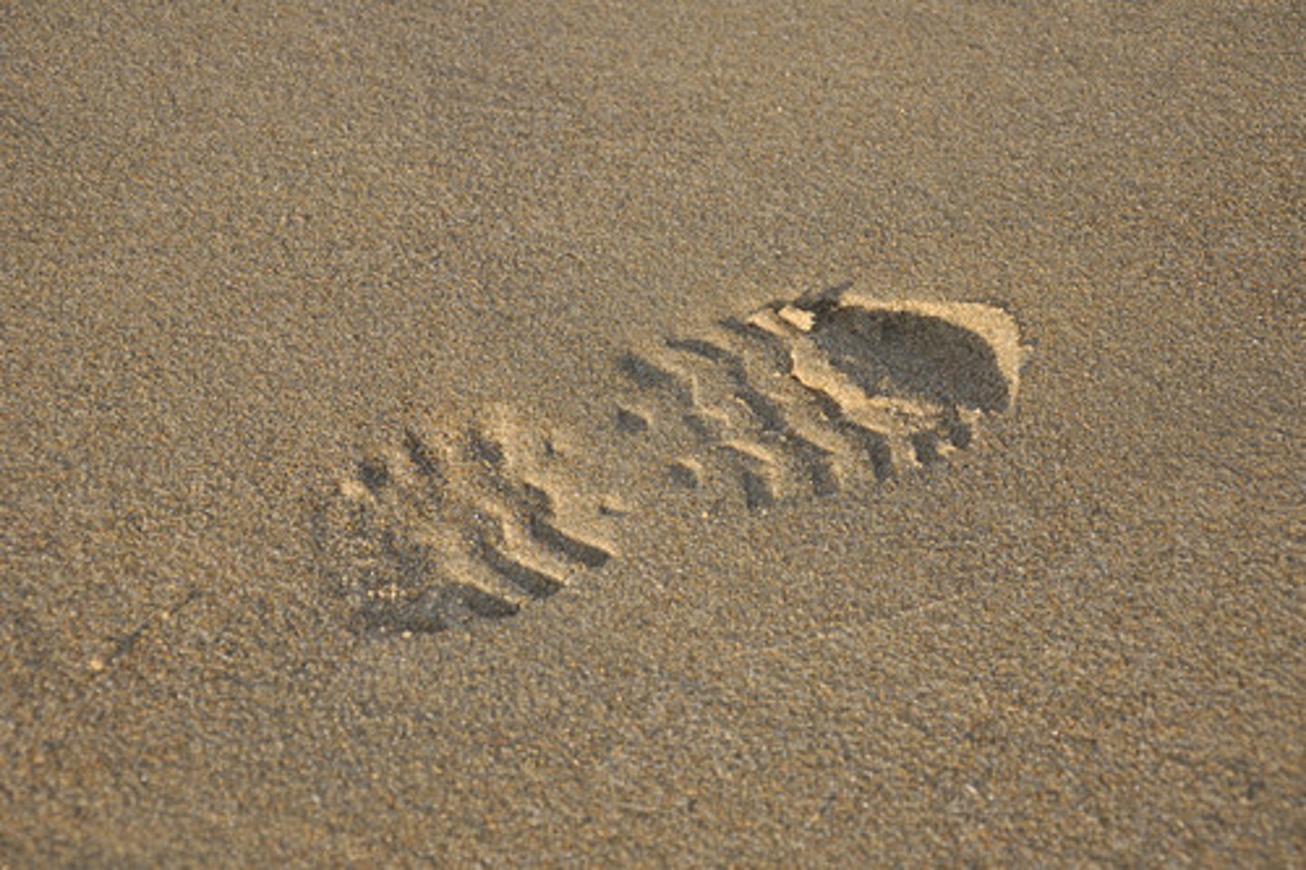 <p>【liú】ở lại, lưu lại, giữ lại</p>