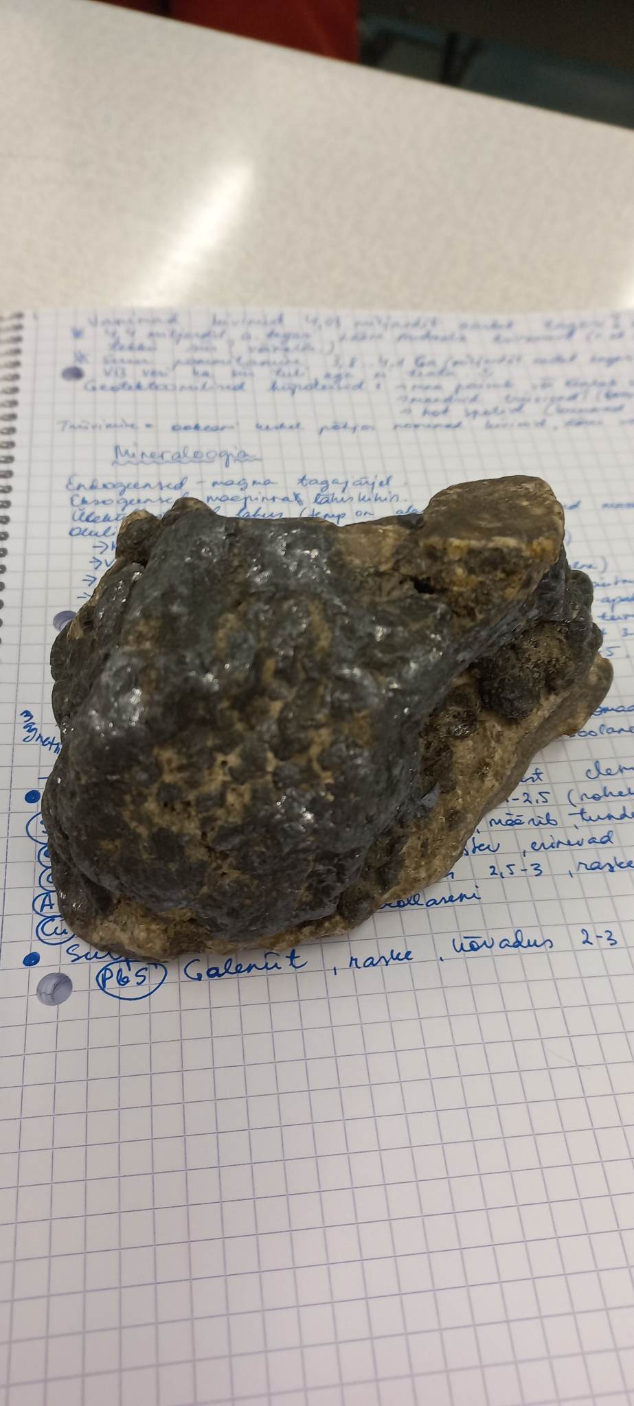 knowt flashcard image