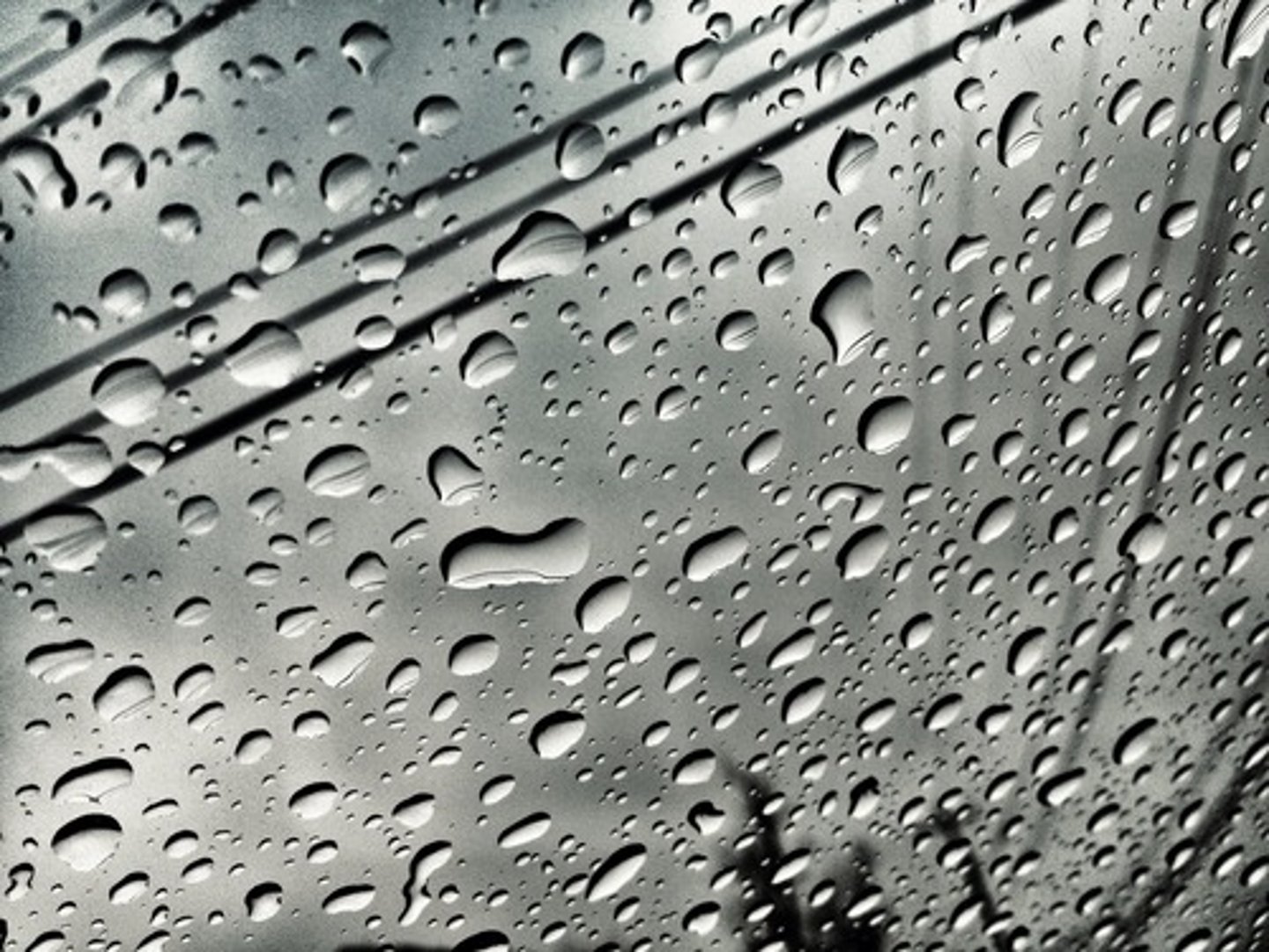 <p>water adheres to polar surfaces b/c of - &amp; + poles</p>