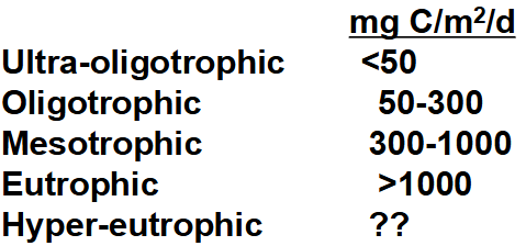 <p>a lake’s productivity in relation to its watershed </p>