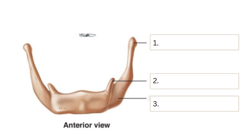 <p>Body</p>