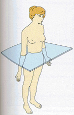 <p>a cut in a horizontal plane separating the body into upper and lower portions</p>