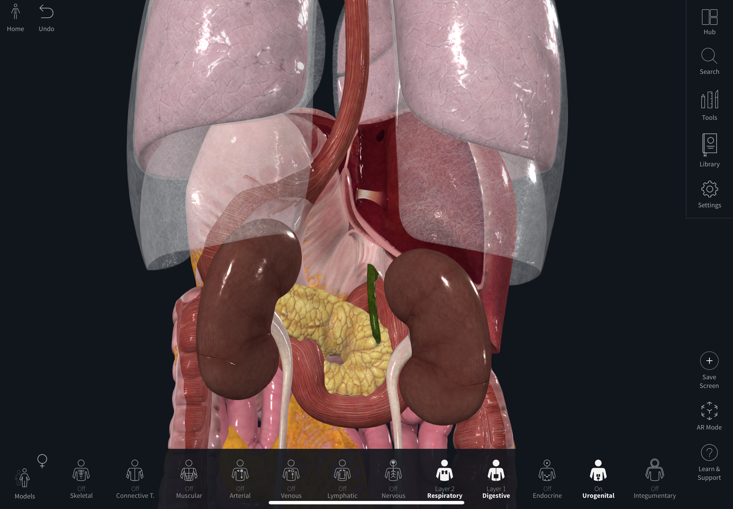 <p>schodzi z prawego płata wątroby na tylną&nbsp;ścianę&nbsp;brzucha, tworząc więzadło wątrobowo-nerkowe / hepatorenal ligament</p>