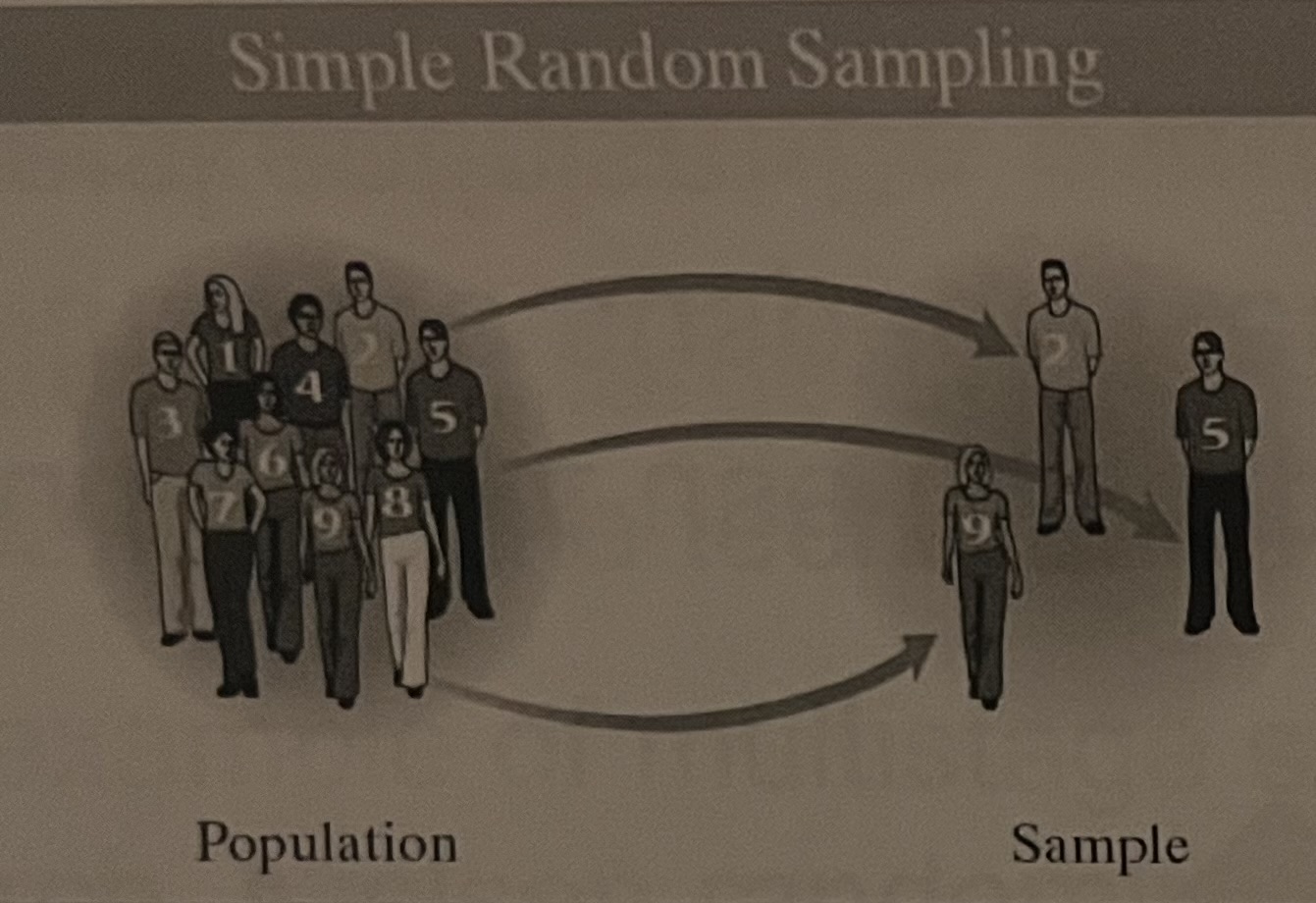 <p><span>Each member of the population has an equal chance of being selected</span></p>