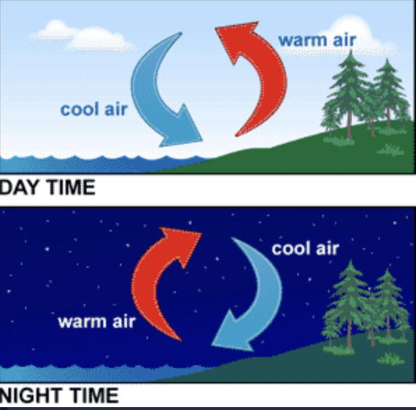 <p>the transfer of thermal energy by the circulation or movement of a liquid or gas</p>