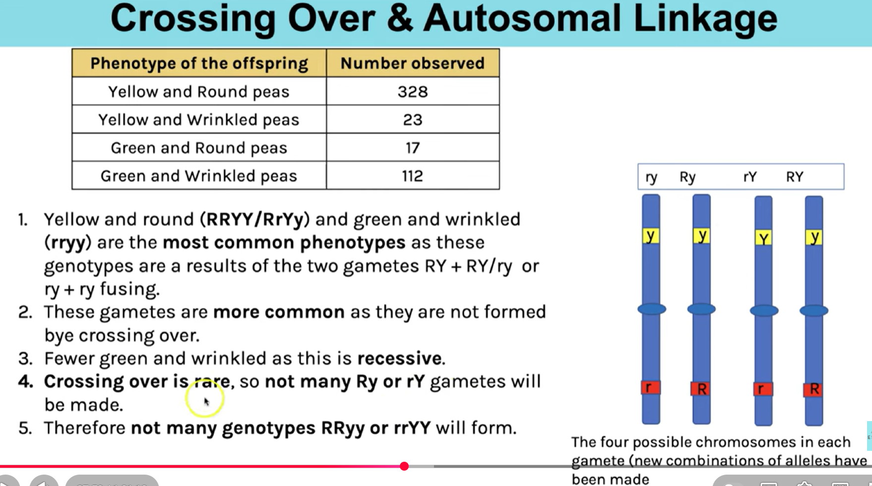 <p>Nice little summary:</p><p>Here:</p><p>1 mark: genes are linked</p><p>2nd mark: crossing over has taken place (4 geneotypes) OR crossing over has not taken place (2 genotypes)</p>