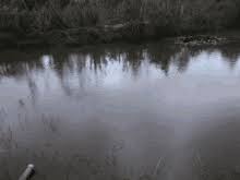 <p>Water that is <u>still or not moving</u>.</p>