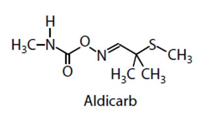 <p>Aldicarb </p>