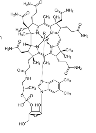 <p>Characteristics of Vitamin B12 (Cobalamin)</p>