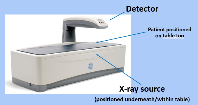 <p>DEXA machine </p>