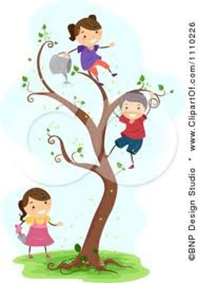 <p>to climb trees</p>