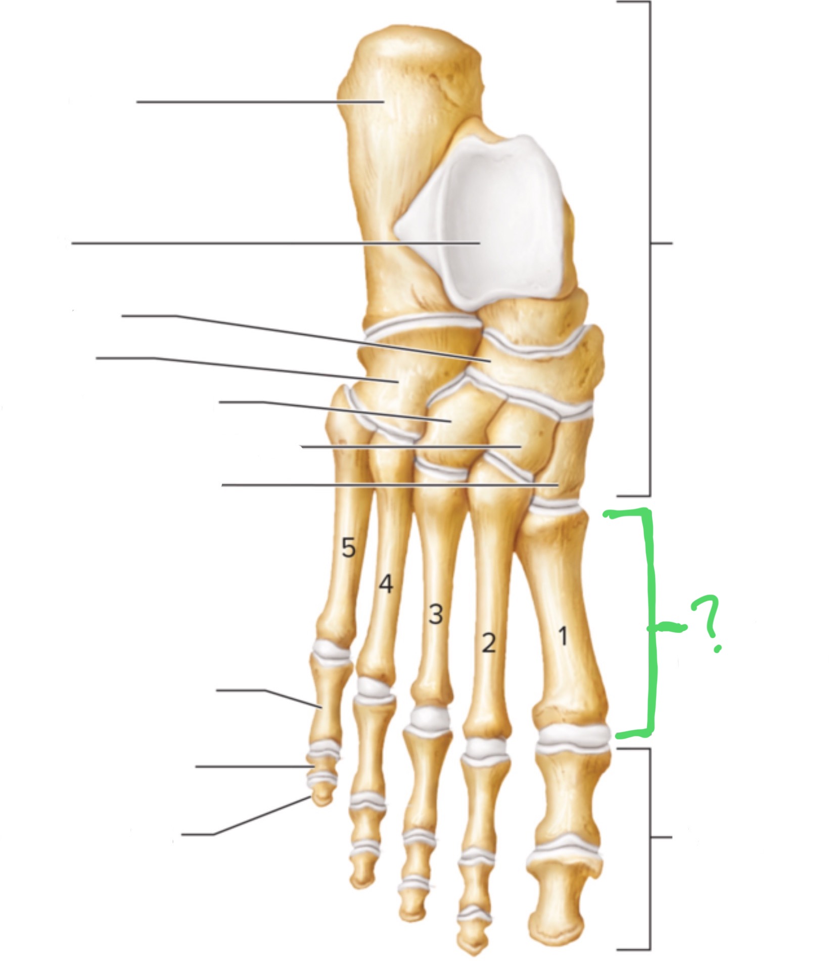 <p>What are these?</p>