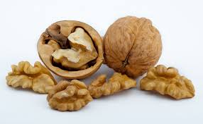 <p><span style="background-color: transparent;"><span>entire pericarp becomes hard and woody at maturity (sclereid cells)</span></span></p>