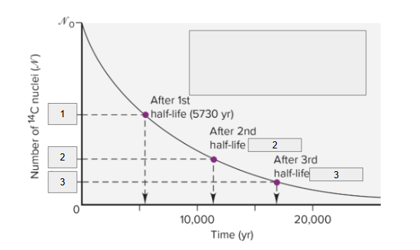 <p>After 3rd half-life, what is initial number of nuclei and how many years have passed?</p>
